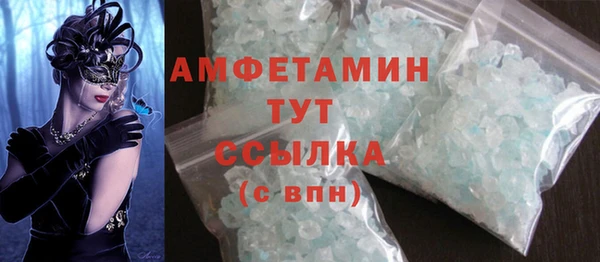 прущие грибы Богданович