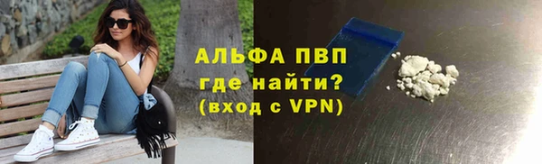 МДПВ Богородск