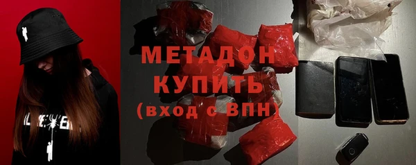 прущие грибы Богданович
