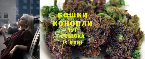 МДПВ Богородск