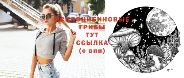 прущие грибы Богданович