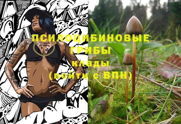 гидропоника Бугульма
