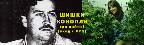 МДПВ Богородск