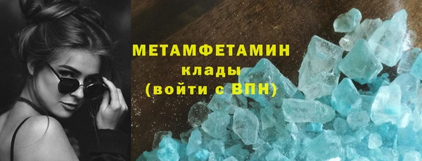 прущие грибы Богданович